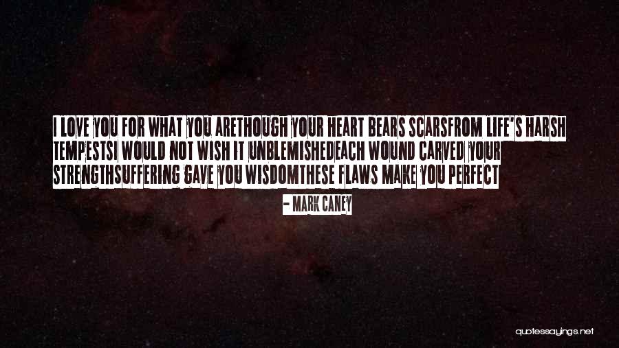 I Wish You Strength Quotes By Mark Caney I Wish You Strength Quotes By Mark Caney