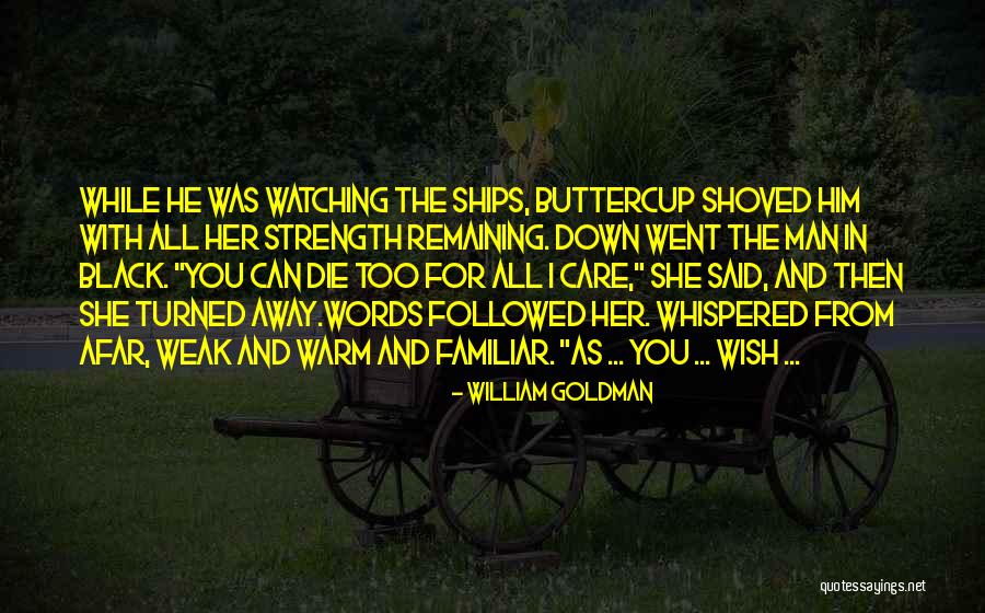 I Wish You Strength Quotes By William Goldman I Wish You Strength Quotes By William Goldman