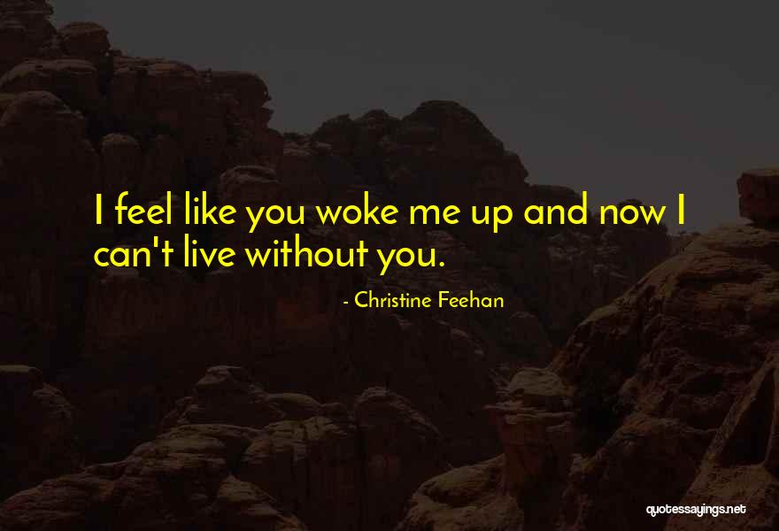 I Woke Up Without Quotes By Christine Feehan I Woke Up Without Quotes By Christine Feehan