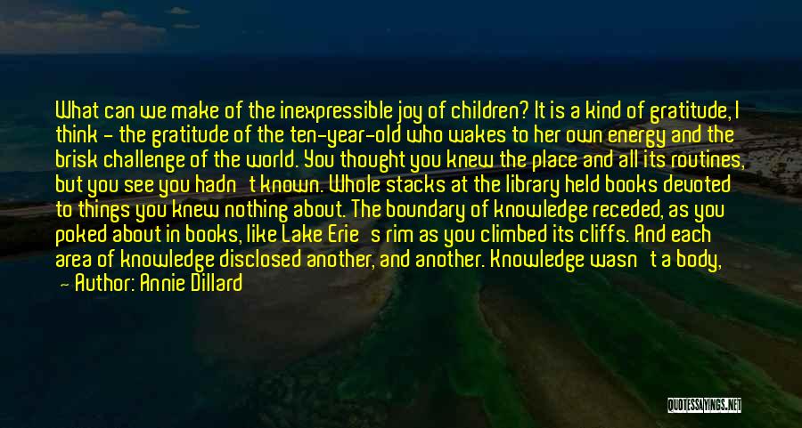 I Wonder About You Quotes By Annie Dillard