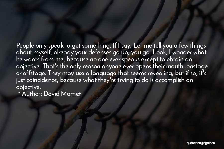 I Wonder About You Quotes By David Mamet