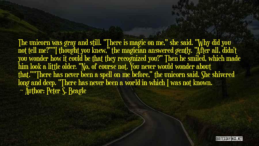 I Wonder How Long Quotes By Peter S. Beagle