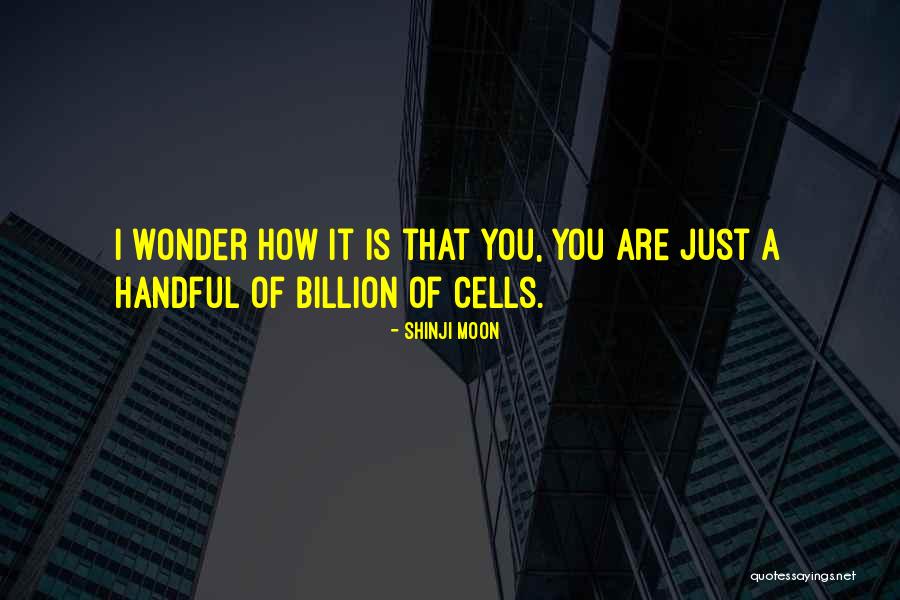 I Wonder How You Are Quotes By Shinji Moon I Wonder How You Are Quotes By Shinji Moon