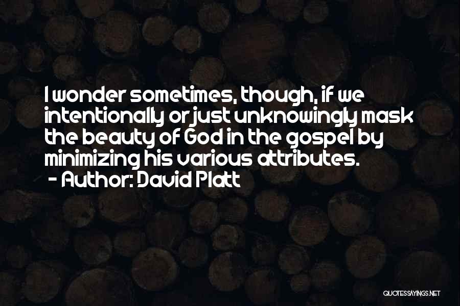 I Wonder Sometimes Quotes By David Platt