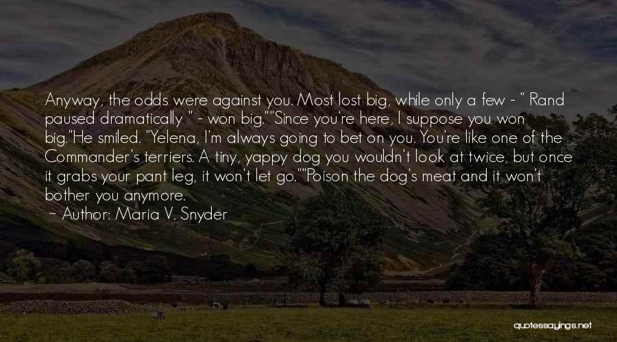 I Won't Bother Anymore Quotes By Maria V. Snyder