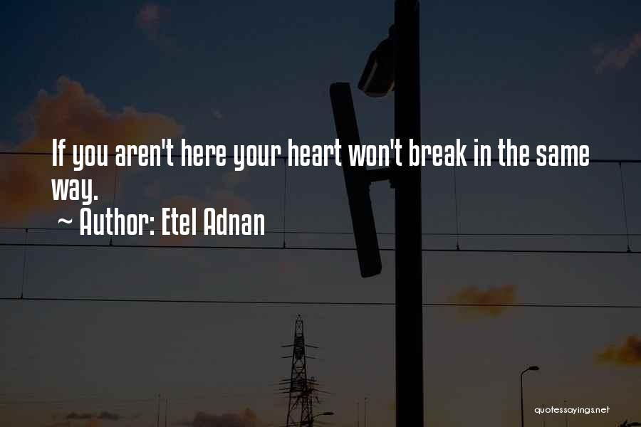 I Won't Break Your Heart Quotes By Etel Adnan