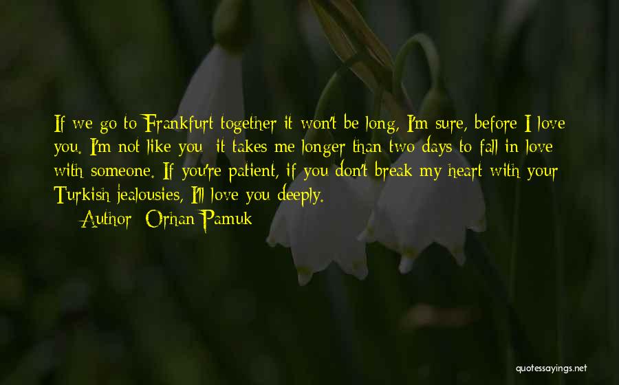 I Won't Break Your Heart Quotes By Orhan Pamuk