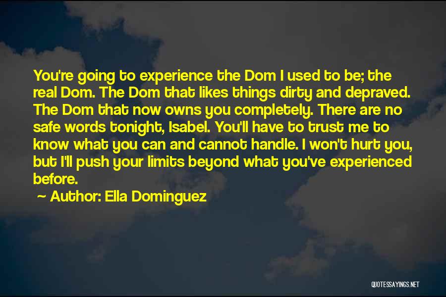 I Won't Hurt You Quotes By Ella Dominguez