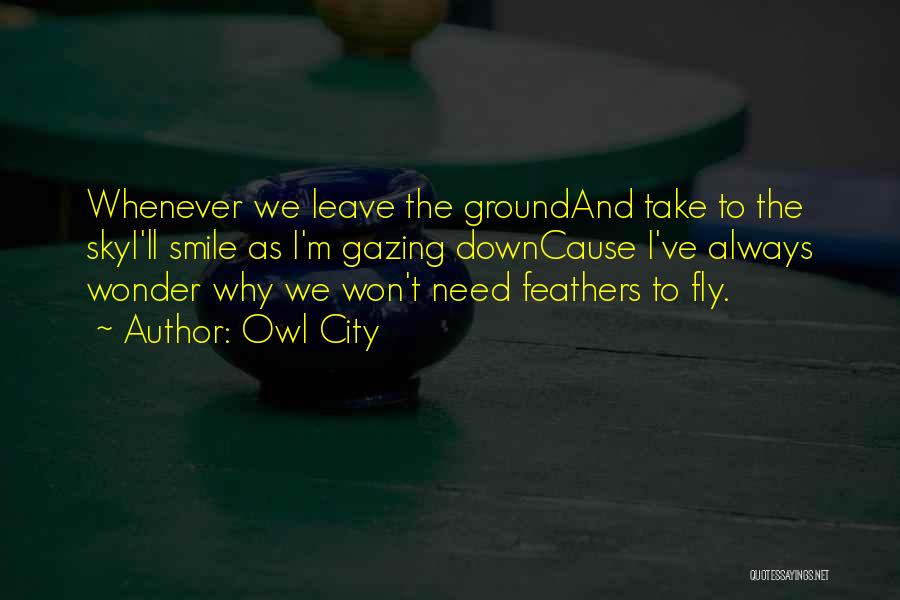 I Won't Leave Quotes By Owl City
