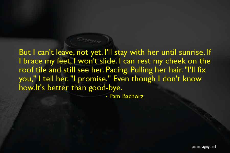 I Won't Leave Quotes By Pam Bachorz