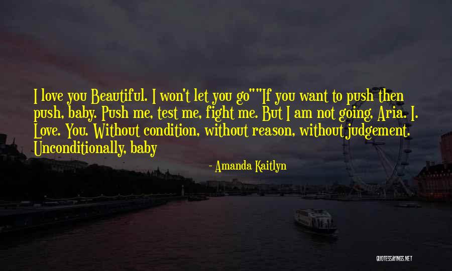 I Won't Let You Go Quotes By Amanda Kaitlyn