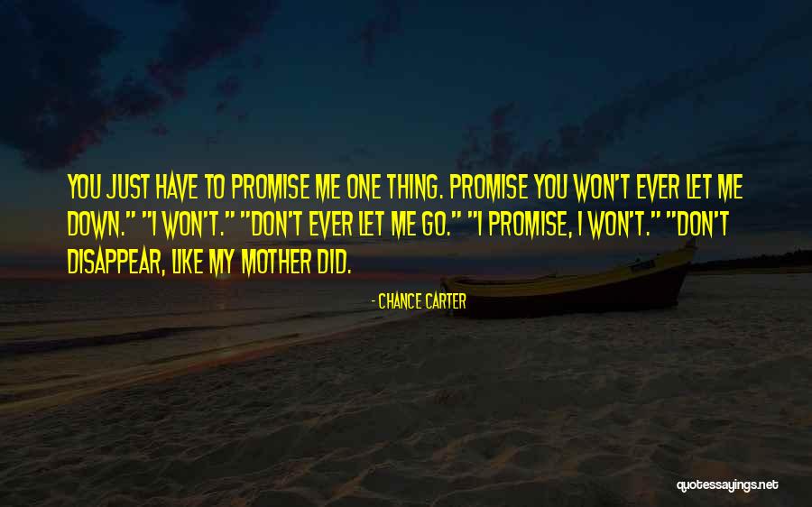 I Won't Let You Go Quotes By Chance Carter