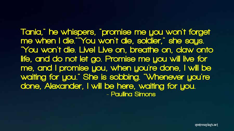 I Won't Let You Go Quotes By Paullina Simons