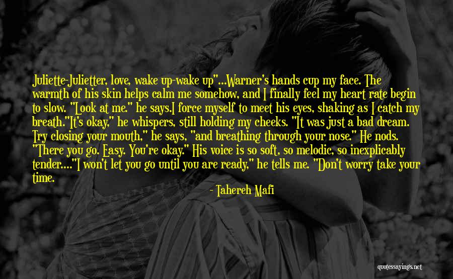 I Won't Let You Go Quotes By Tahereh Mafi