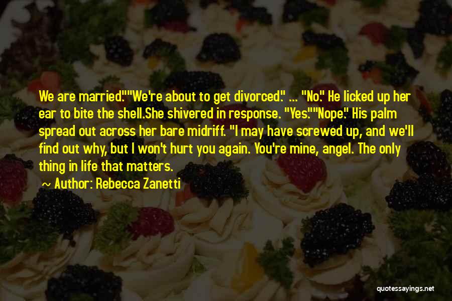 I Won't Let You Hurt Me Again Quotes By Rebecca Zanetti