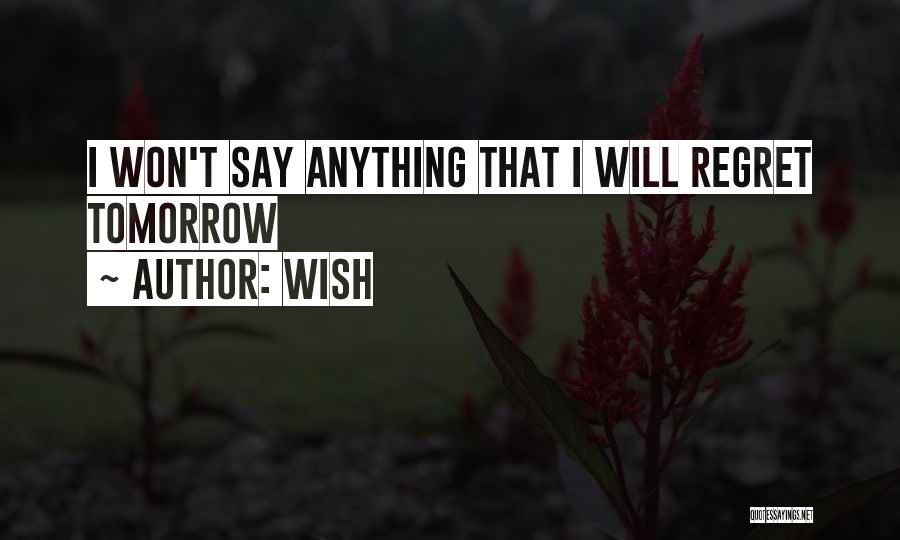 I Won't Regret Quotes By Wish