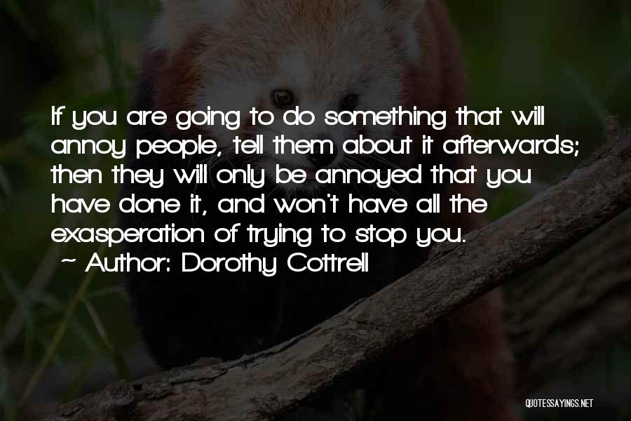 I Won't Stop Trying Quotes By Dorothy Cottrell