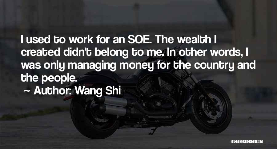 I Work Only For Money Quotes By Wang Shi