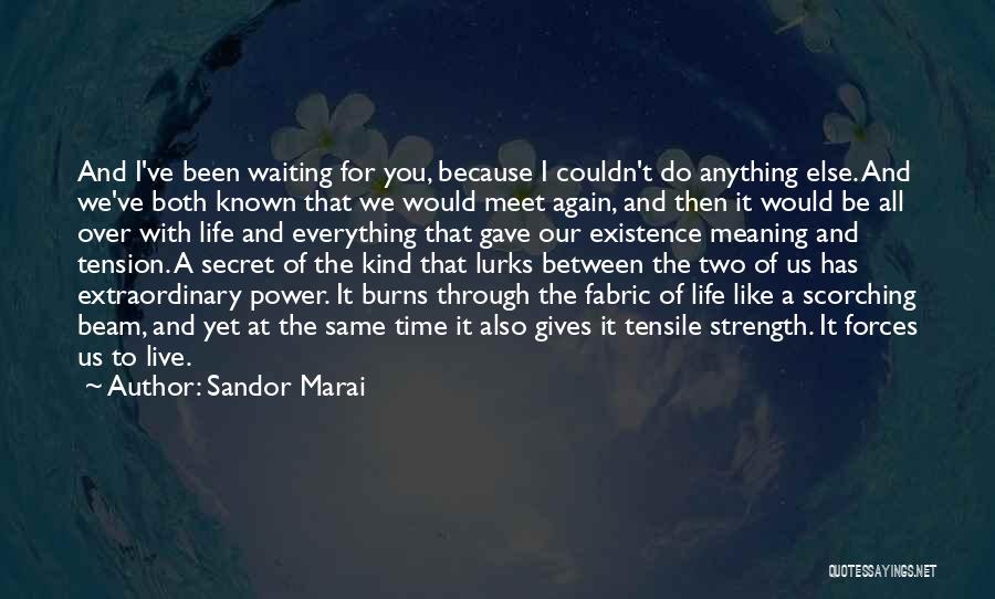 I Would Do It All Over Again Quotes By Sandor Marai