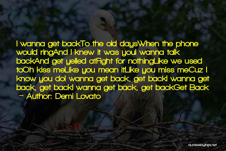 I Would Fight For You Quotes By Demi Lovato
