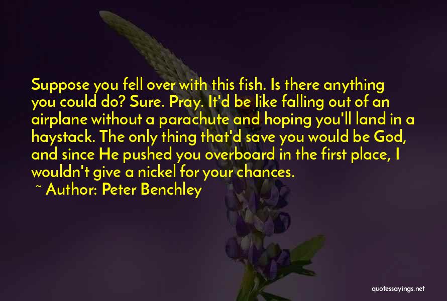 I Would Give Anything Quotes By Peter Benchley