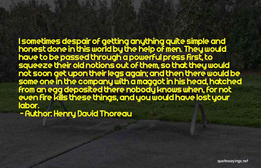 I Would Have Done Anything For You Quotes By Henry David Thoreau