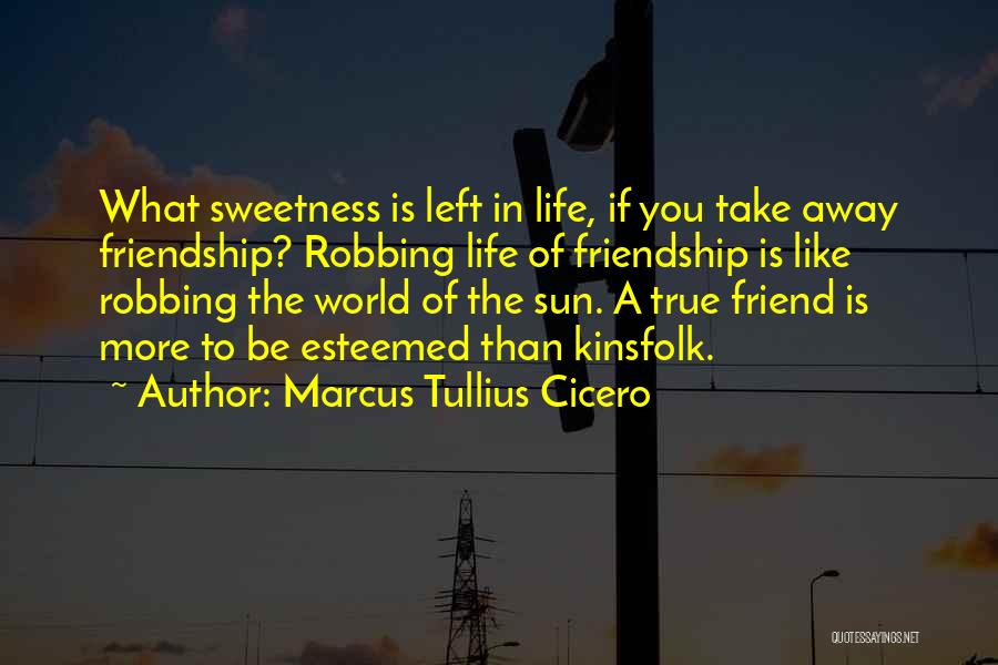 I Would Like To Be Your Friend Quotes By Marcus Tullius Cicero