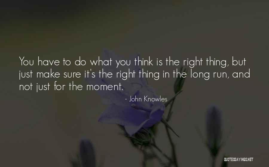 I Would Like To Stop Wordplaying Quotes By John Knowles I Would Like To Stop Wordplaying Quotes By John Knowles