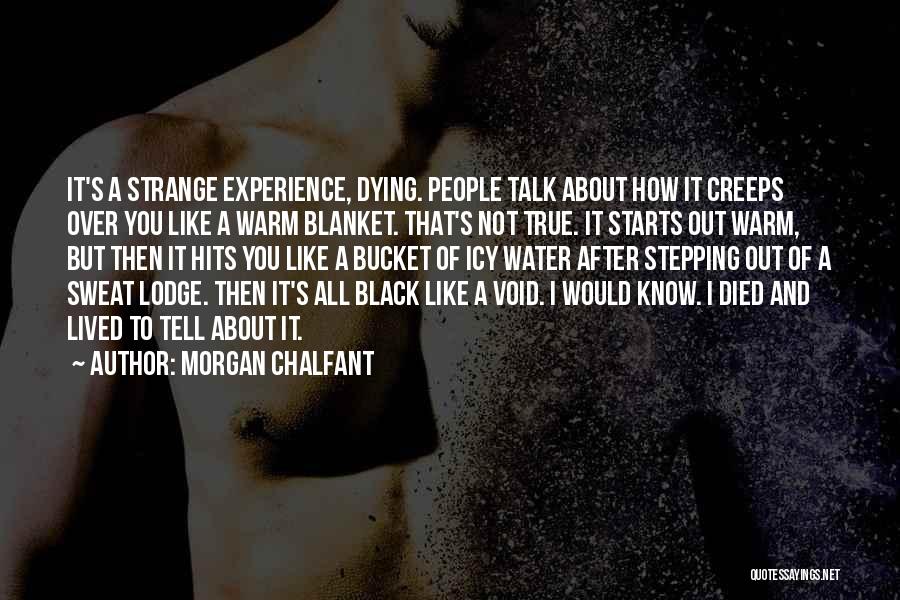 I Would Like To Talk To You Quotes By Morgan Chalfant