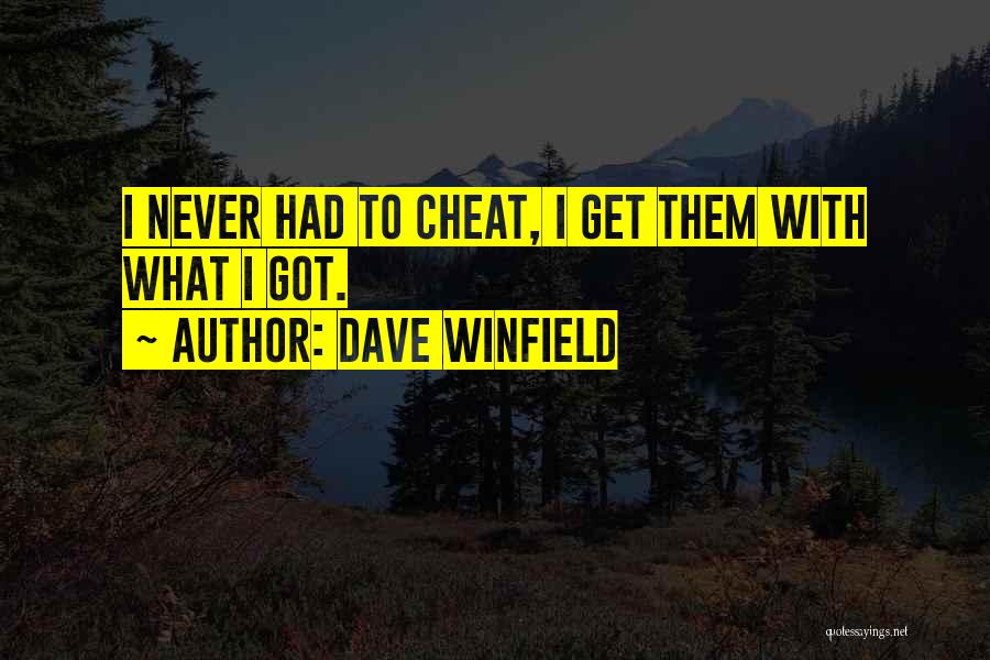 I Would Never Cheat Quotes By Dave Winfield