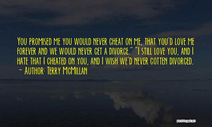 I Would Never Cheat Quotes By Terry McMillan