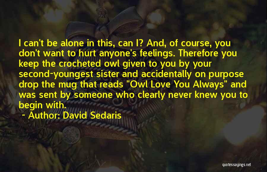 I Would Never Hurt Anyone Quotes By David Sedaris