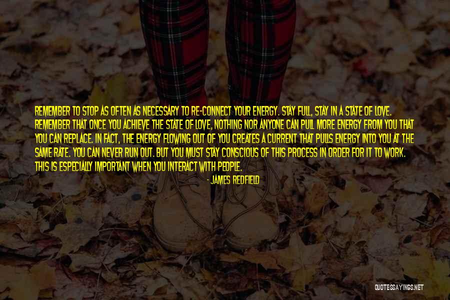 I Would Never Replace You Quotes By James Redfield I Would Never Replace You Quotes By James Redfield