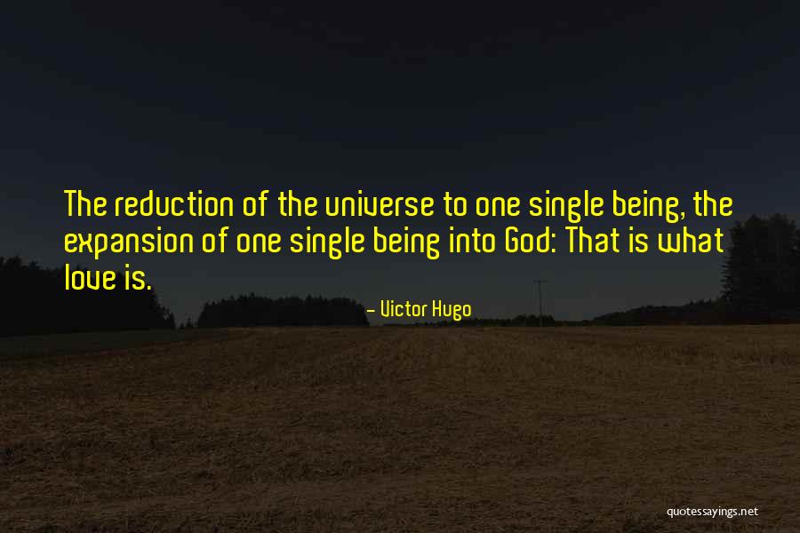I Would Rather Be Single Quotes By Victor Hugo I Would Rather Be Single Quotes By Victor Hugo