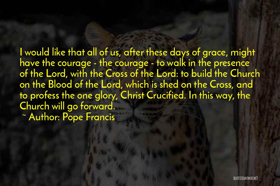 I Would Walk Quotes By Pope Francis
