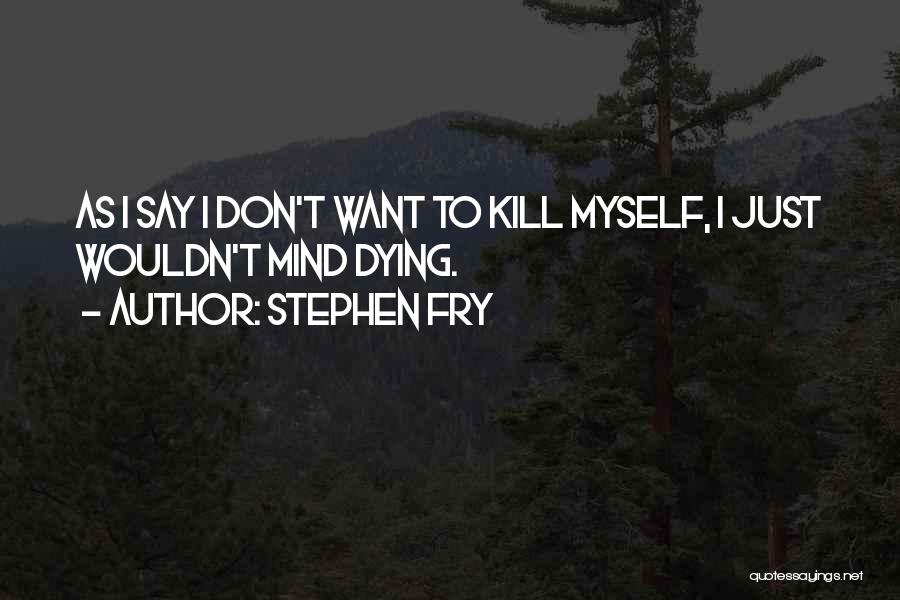 I Wouldn't Mind Dying Quotes By Stephen Fry