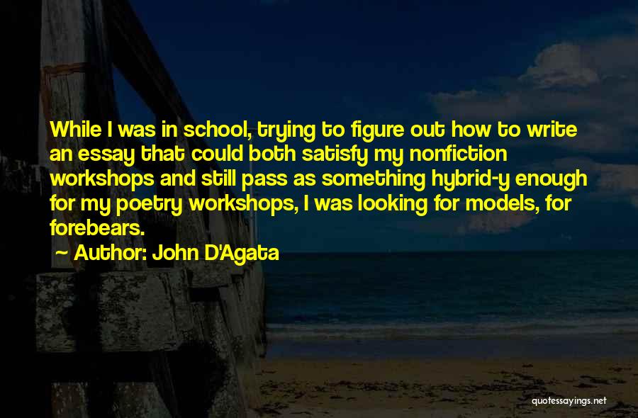 I Write Poetry Quotes By John D'Agata