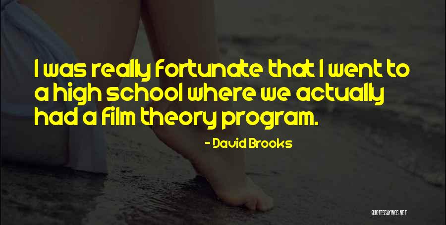 Iaconos Shawnee Quotes By David Brooks Iaconos Shawnee Quotes By David Brooks