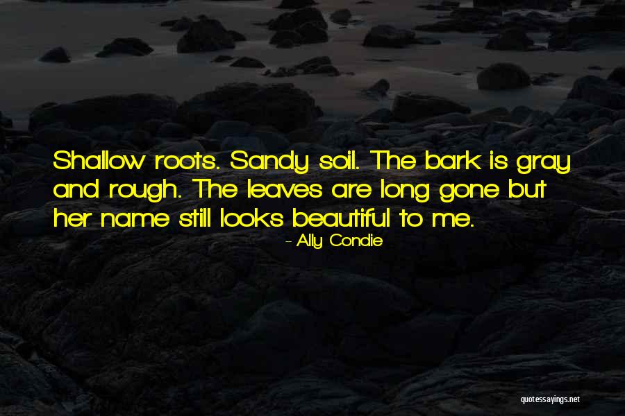 Iacopo Olivotto Quotes By Ally Condie Iacopo Olivotto Quotes By Ally Condie