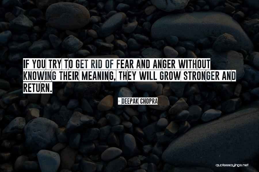 Iago Aladdin Quotes By Deepak Chopra Iago Aladdin Quotes By Deepak Chopra