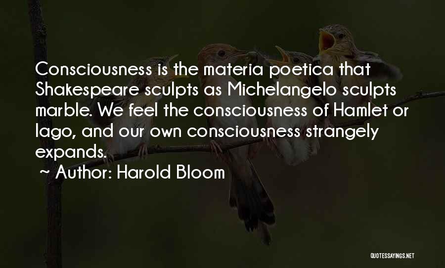 Iago's Quotes By Harold Bloom