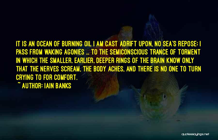 Iain Banks Quotes 1612014