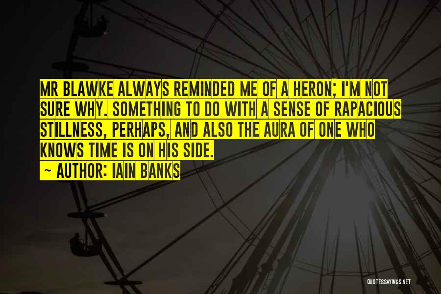 Iain Banks Quotes 1619188