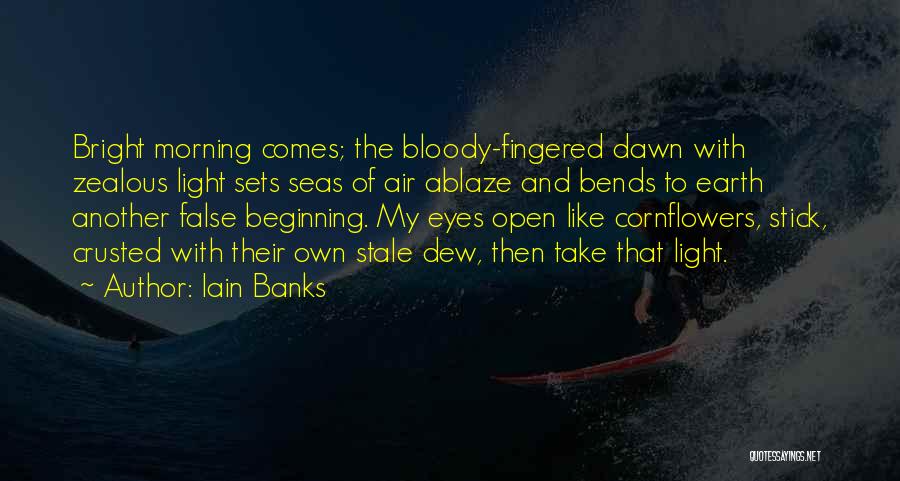 Iain Banks Quotes 1997186