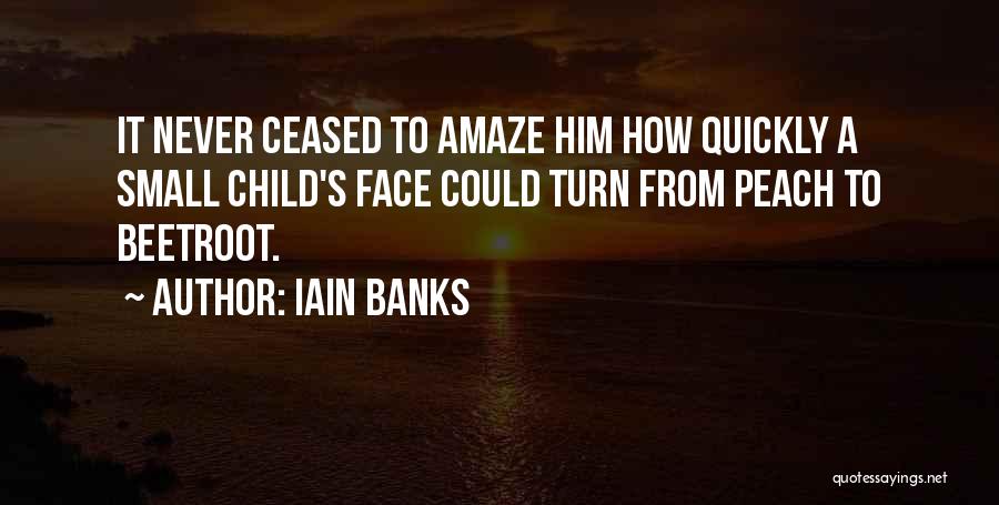 Iain Banks Quotes 2099843