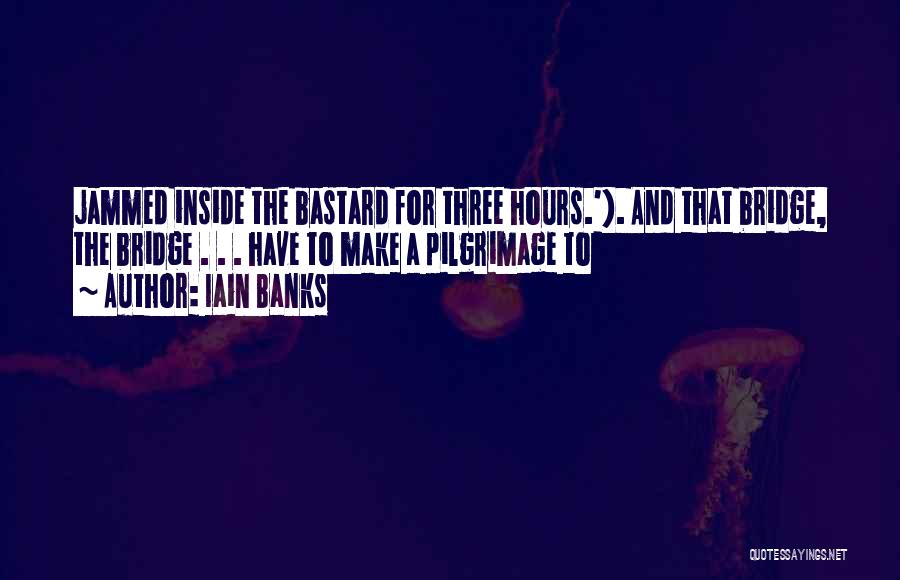 Iain Banks The Bridge Quotes By Iain Banks