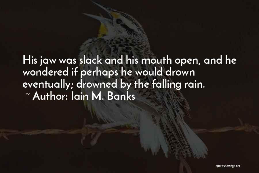 Iain M. Banks Quotes 1794738