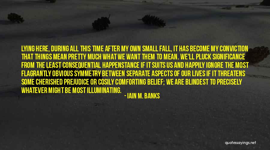 Iain M. Banks Quotes 1961143