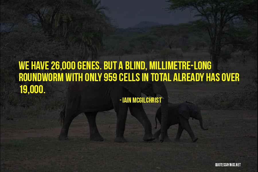 Iain McGilchrist Quotes 1298167 Iain McGilchrist Quotes 1298167