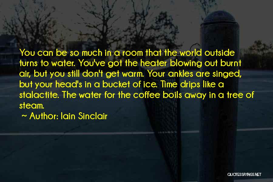 Iain Sinclair Quotes 2180934